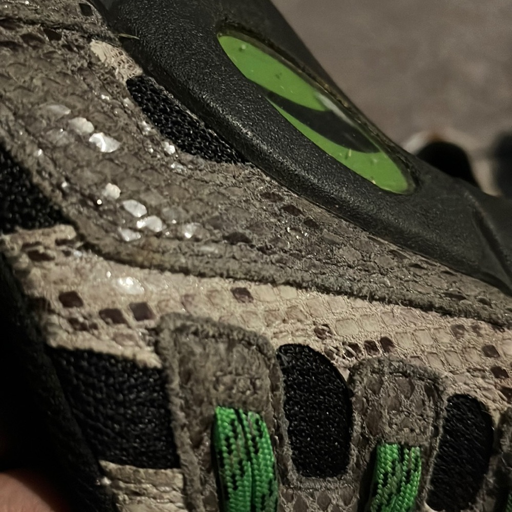 puma